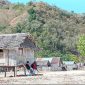Rumah-rumah warga masyarakat di Pulau Babi 