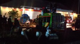 Pelaku perjalanan dengan KM Lambelu tiba di lokasi karantina tepusat di Maumere, Rabu (19/8) dinihari