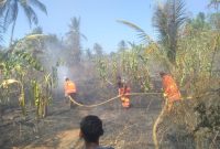 Petugas damkar memadamkan kahan kebun milik warga yang terbakar di Manubura, Sabtu (29/8) (foto: istimewa)