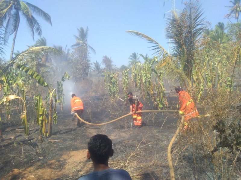 Petugas damkar memadamkan kahan kebun milik warga yang terbakar di Manubura, Sabtu (29/8) (foto: istimewa)