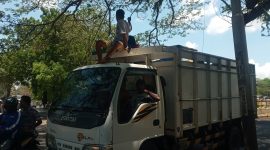 Truk pelintas jalan berhati-hati melewati jalan yang terhalang kabel, Senin (26/10)