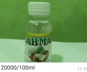 Koperasi Bahtera Sejahtera Buka Harga Beli Kelapa Rp 140.000 per Subur