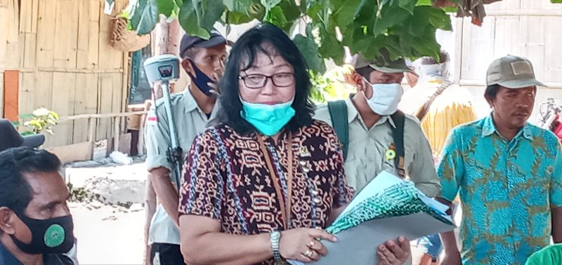 Anik Sumaryati, Panitera dari PN Maumere sedang memberikan penjelasan sebelum praeksekusi di Kelurahan Wairotang, Kamis (5/11)