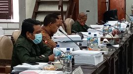 Anggota Banggar Stef Sumandi