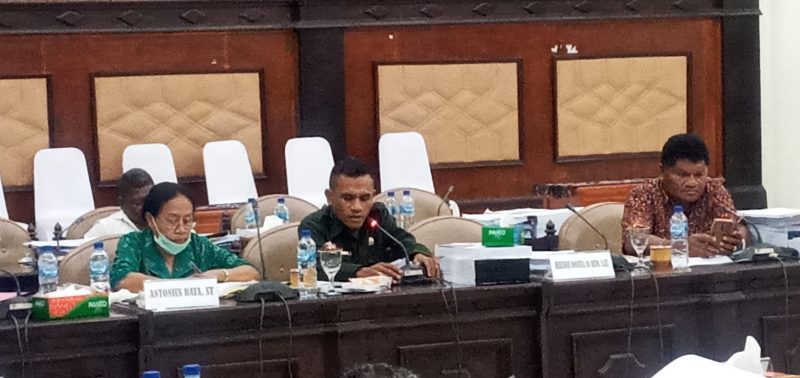 Anggota Banggar Benediktus Lukas Raja