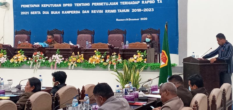 Wakil Ketua Fraksi Partai Nasdem Yosef Nong Soni