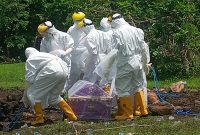 Proses pemakaman PP, pasien positip corona, Rabu (30/12)