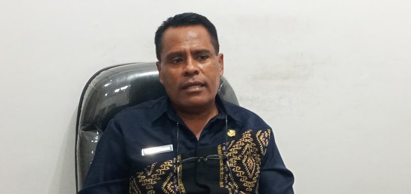 Jurubicara Satgas Covid Sikka Petrus Herlemus