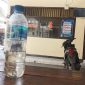 Botol bekas air mineral berisi moke yang berada di atas meja di Reskrim Polres Sikka, Sabtu (23/1)