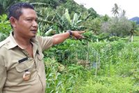 Kepala Desa Masabewa Gerardus Erasmus