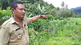 Kepala Desa Masabewa Gerardus Erasmus