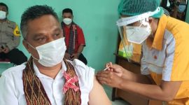 Seorang petugas kesehatan sedang menyuntik vaksin sinovac pada lengan kiri Bupati Sikka, Sabtu (6/2)
