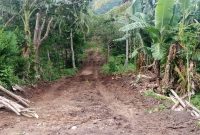 Pembukaan jalan baru di Doreng melalui Program TMMD (foto: istimewa)
