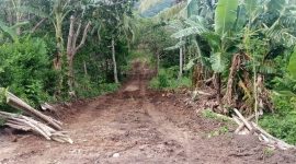 Pembukaan jalan baru di Doreng melalui Program TMMD (foto: istimewa)
