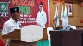 Ketua DPC PKB Sikka Yoseph Karmianto Eri (foto: istimewa)