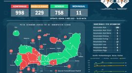 Penyebaran kasus Covid di Kabupaten Sikka