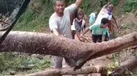 Kepala Desa Bu Selatan bersama warga mengevakuasi pohon yang tumbang di wilayah itu, Senin (2/8) (foto: istimewa)