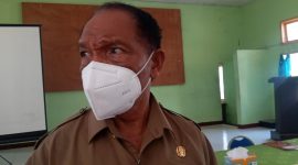 Ketua Partai Nasdem Romanus Woga