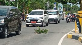 Penampakan lubang pada ruas Jalan Ahmad Yani, ditutupi ranting pohon, Senin (25/10)