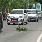 Penampakan lubang pada ruas Jalan Ahmad Yani, ditutupi ranting pohon, Senin (25/10)