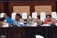 Anggota Banggar Alfridus Melanus Aeng 