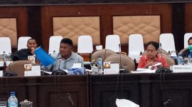 Anggota Banggar Alfridus Melanus Aeng 