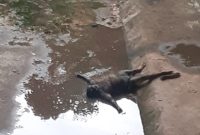 Jasad korban yang ditemukan di kolong jembatan, Kamis (13/1)