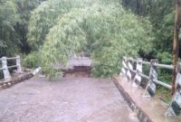 Kondisi jembatan yang jebol di Dusun Kangarusa Desa Wolowiro, Rabu (19/1)