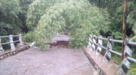 Kondisi jembatan yang jebol di Dusun Kangarusa Desa Wolowiro, Rabu (19/1)