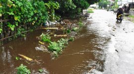 Luapan banjir di depan Panti Jompo Paduwau di Waipare Kecamatan Kangae, Kamis (26/1)