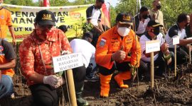 Kepala Kantor Pencarian dan Pertolongan Maumere I Putu Sudayana bersama potensi SAR serentak menanam bibt pohon mangrove di Kampung Garam, Jumat (4/2)