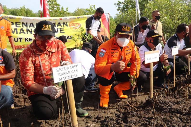 Kepala Kantor Pencarian dan Pertolongan Maumere I Putu Sudayana bersama potensi SAR serentak menanam bibt pohon mangrove di Kampung Garam, Jumat (4/2)
