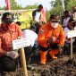 Kepala Kantor Pencarian dan Pertolongan Maumere I Putu Sudayana bersama potensi SAR serentak menanam bibt pohon mangrove di Kampung Garam, Jumat (4/2)