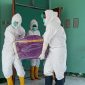 Jenazah SA dibawa petugas Covid-19 untuk dimakamkan di Desa Nangatobong, Sabtu (12/3)