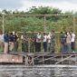 Rombongan DPRD Sikka mengunjungi tambak udang vaname Lantamal V Surabaya, Selasa (10/5) (foto: istimewa)