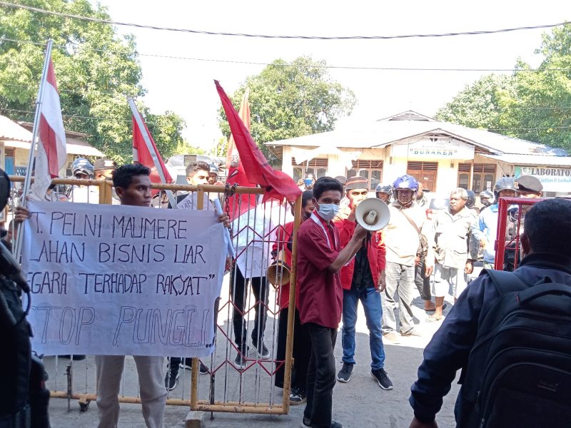 Aksi GMNI Sikka di Kantor Pelni Maumere, melawan pungli penjualan tiket tambahan, Selasa (2/8)