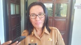 Kepala Dinas Pemberdayaan Masyarakat dan Desa Kabupaten Sikka Fitrinita Kristiani