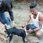 Vaksinasi anjing di Kabupaten Sikka beberapa waktu lalu