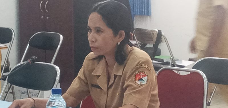 Maria Reneldis Lebi, Bendahara Pengeluaran Pembantu BTT pada Kantor BPBD Sikka