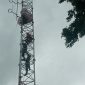 Tim Gabungan sedang berupaya mengevakuasi Agus Woro, pemanjat tower Radio Suara Sikka FM, Selasa (8/11)