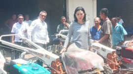 Anggota Komisi 4 DPR RI Julie Sutrisno Laiskodat pose di antara handtractor roda 2 yang disalutkan kepada kelompok tani di Kabuparen Sikka, Rabu (7/12)