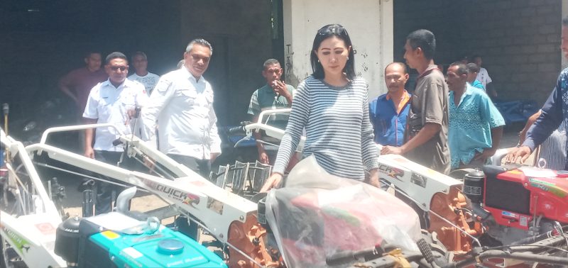 Anggota Komisi 4 DPR RI Julie Sutrisno Laiskodat pose di antara handtractor roda 2 yang disalutkan kepada kelompok tani di Kabuparen Sikka, Rabu (7/12)