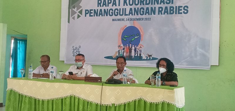 Rapat Koordinasi Penanggulangan Rabies, Rabu (14/12) di Aula Kantor Dinas Pertanian Kabupaten Sikka