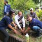 Pengurus Partai Nasdem Sikka menanam pohon di lingkungan sekolah sebagai simbol dari restorasi lingkungan yang diinisiasi Julie Laiskodat, Jumat (3/2)