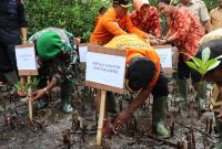 Kepala Kantor Pencarian dan Pertolongan Maumere Mexianus Bekabel sedang menanam bibit pohon mangrove di Pantai Desa Kolisia, Senin (27/2), dalam menyambut HUT ke-51 Basarnas