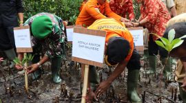 Kepala Kantor Pencarian dan Pertolongan Maumere Mexianus Bekabel sedang menanam bibit pohon mangrove di Pantai Desa Kolisia, Senin (27/2), dalam menyambut HUT ke-51 Basarnas