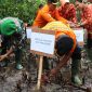 Kepala Kantor Pencarian dan Pertolongan Maumere Mexianus Bekabel sedang menanam bibit pohon mangrove di Pantai Desa Kolisia, Senin (27/2), dalam menyambut HUT ke-51 Basarnas