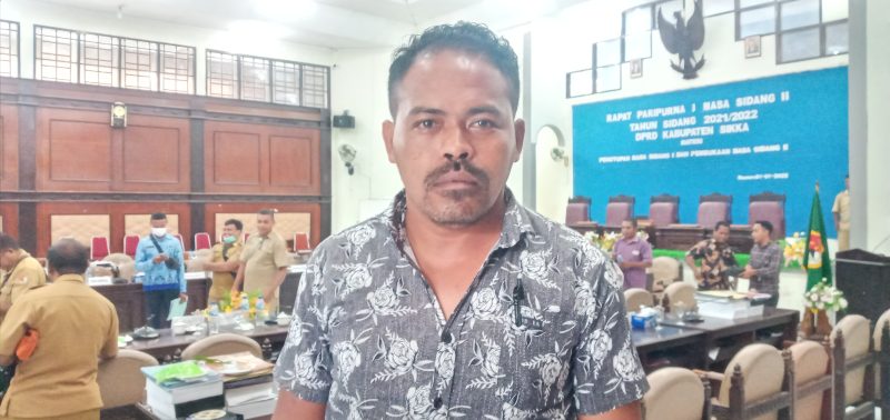 Sekretaris Fraksi Partai Nasdem Yosef Nong Soni