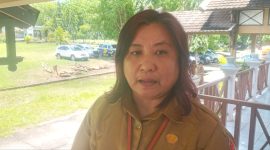 Kepala Bapelitbang Kabupaten Sikka Femy Bapa