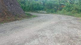 Buruknya infrastruktur jalan di Kabupaten Sikka
